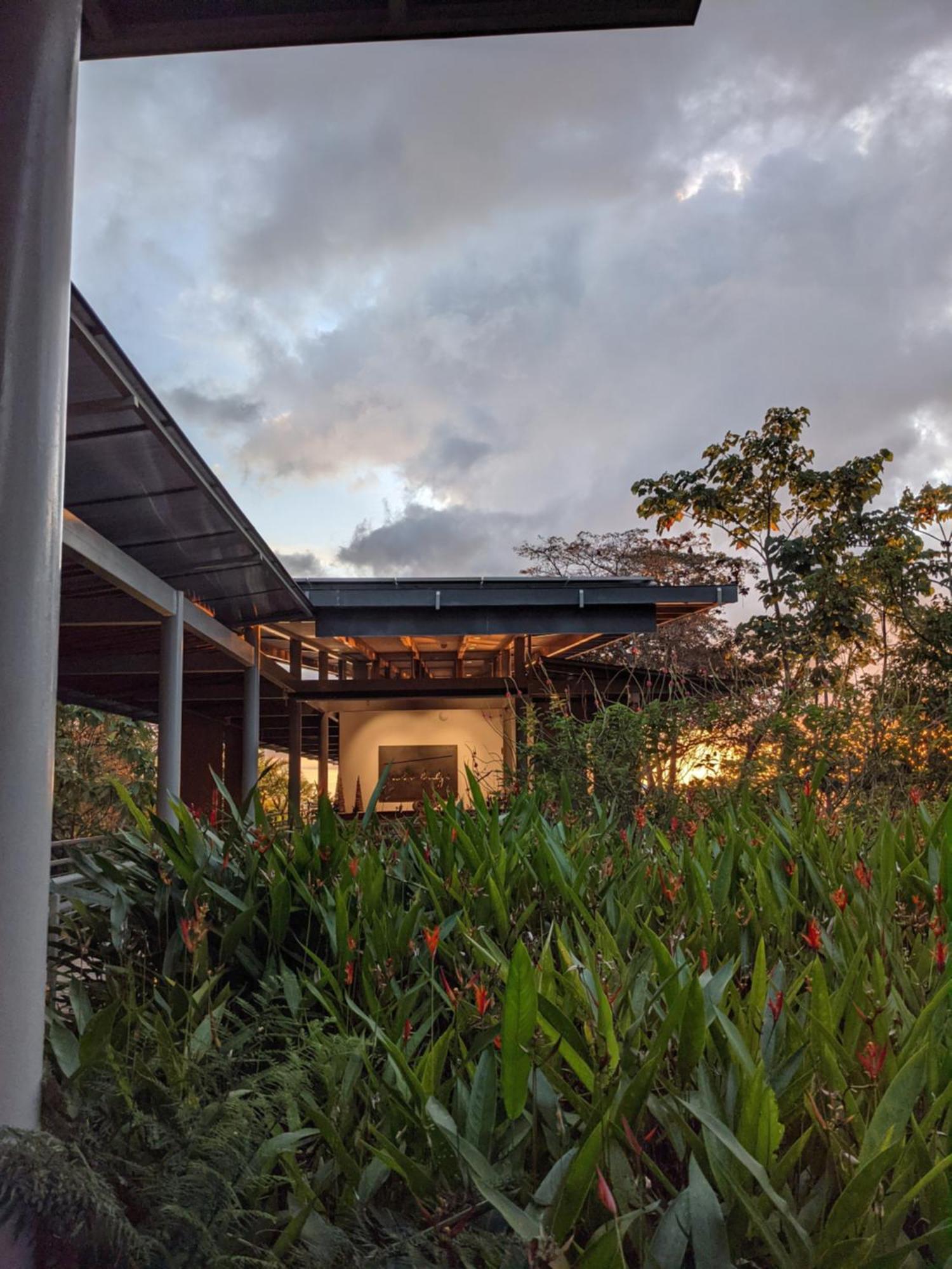Cielo Lodge Golfito Εξωτερικό φωτογραφία